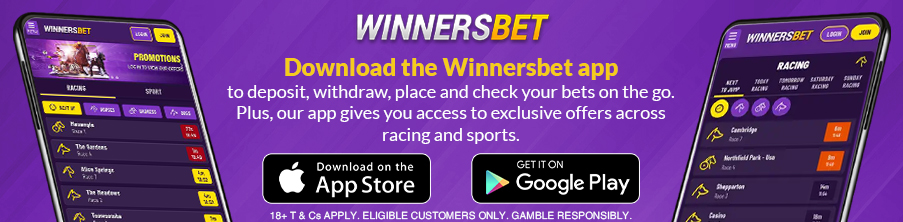 Download the Winnersbet app